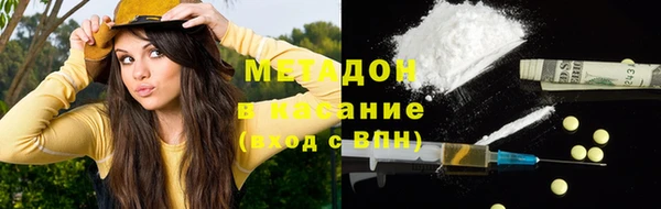 прущие грибы Магадан
