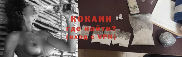 прущие грибы Магадан