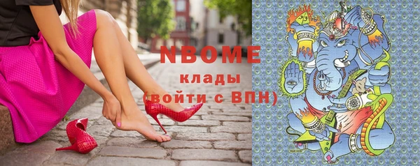 прущие грибы Магадан