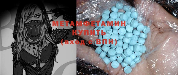 прущие грибы Магадан