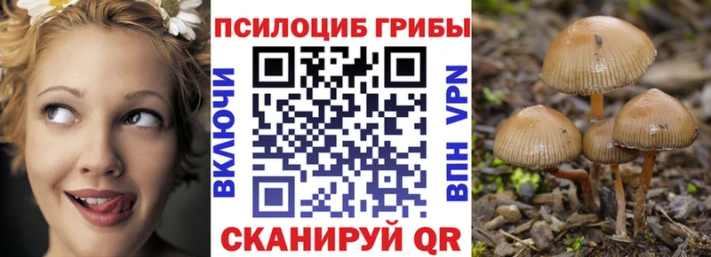 Псилоцибиновые грибы GOLDEN TEACHER  хочу наркоту  Новомичуринск 