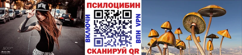 Галлюциногенные грибы Cubensis Новомичуринск